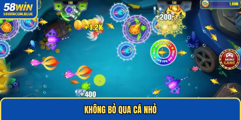 Săn cá nhỏ tích lũy thưởng