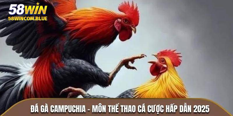 Khái niệm chi tiết về Đá gà Campuchia