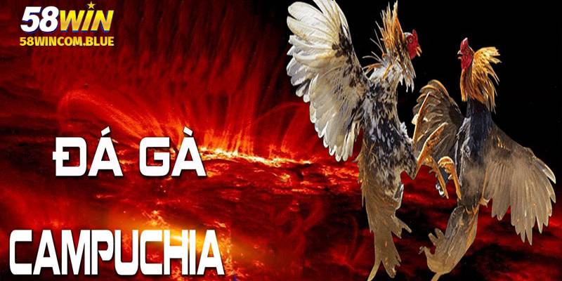 Thời gian của mỗi hiệp đấu có giới hạn nên cần tranh thủ đặt cược