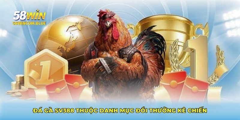 Đá gà SV388 thuộc danh mục đổi thưởng kê chiến