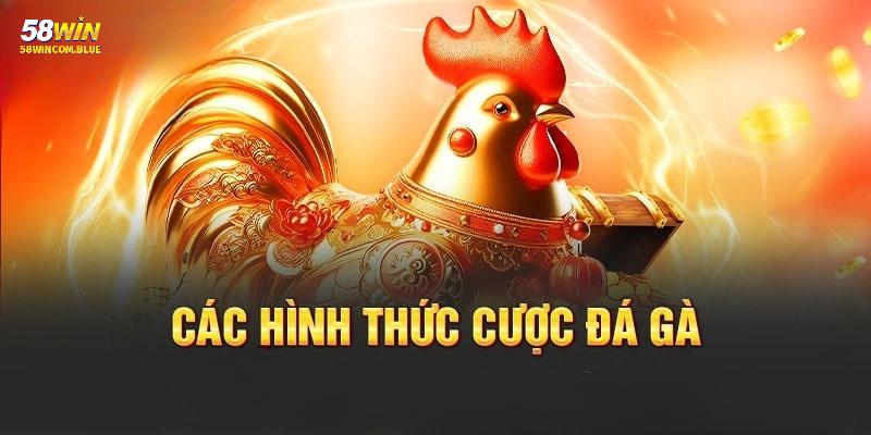 Nhà phát hành cung cấp rất nhiều hình thức cược