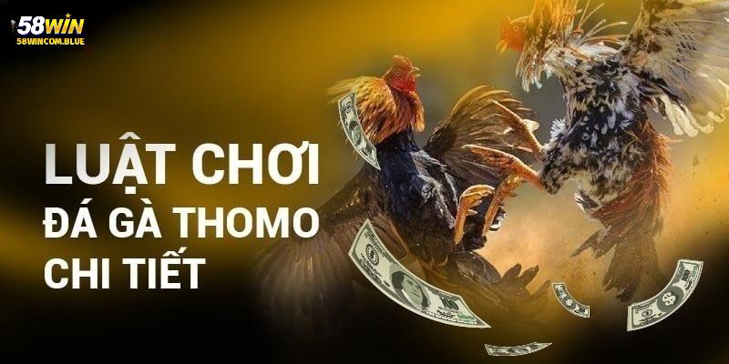 Luật đá gà thomo cho các cược thủ