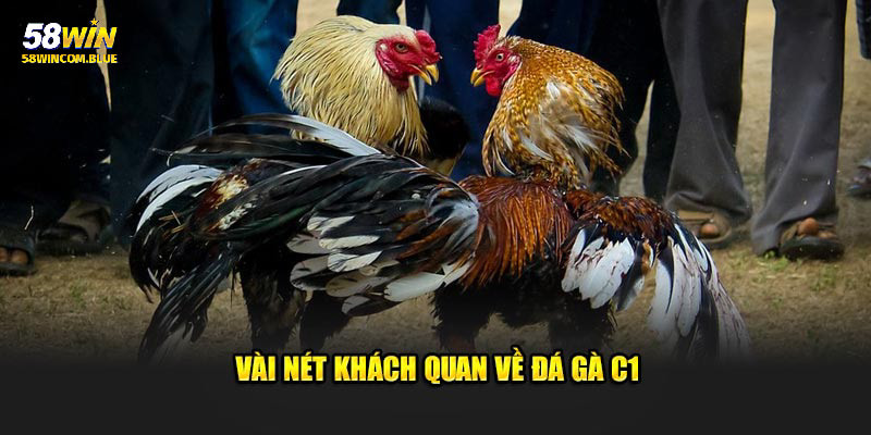 Giới thiệu hình thức giải trí chuyên nghiệp - đá gà C1