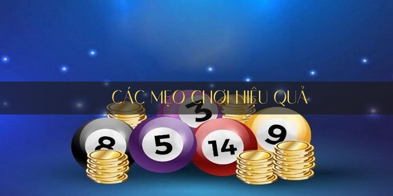 Hướng dẫn cách đặt xổ số hiệu quả