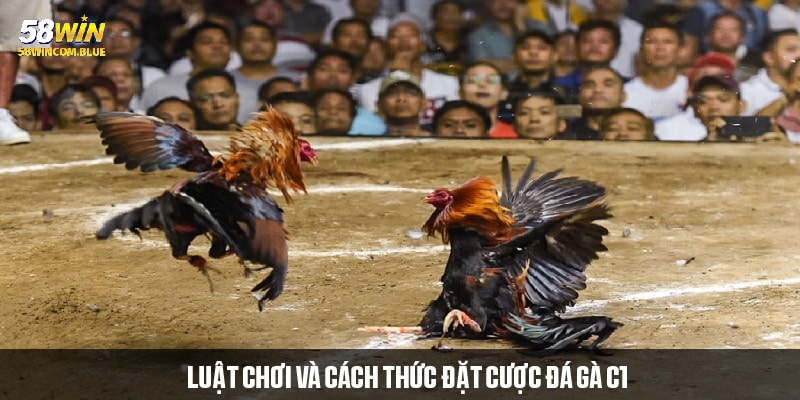 Luật chơi, các hình thức và cách đặt cược đá gà tại 58win