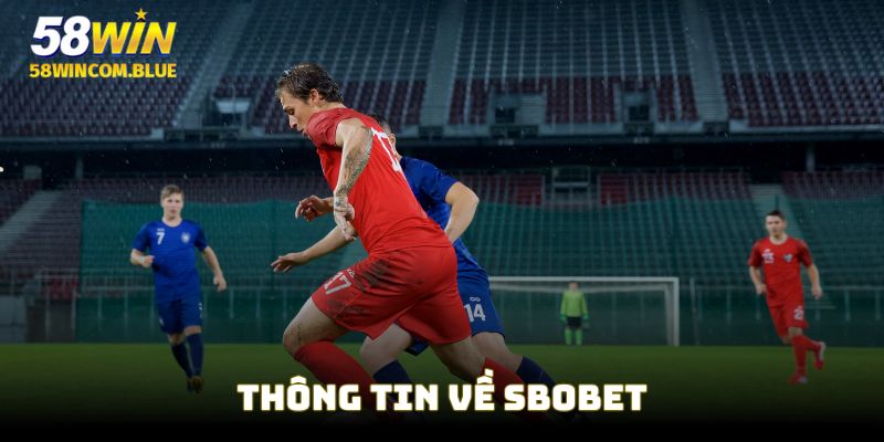 Thông tin SBOBET hấp dẫn cho bạn đọc