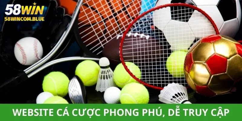 Website cá cược phong phú, dễ dàng truy cập